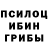 Галлюциногенные грибы Cubensis Broni27