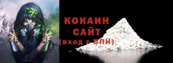 гашик Бородино