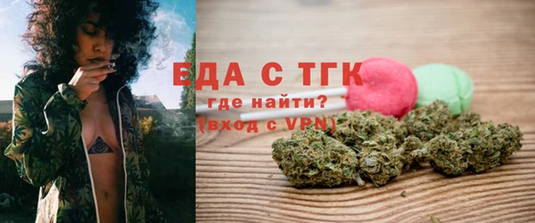 гашик Бородино