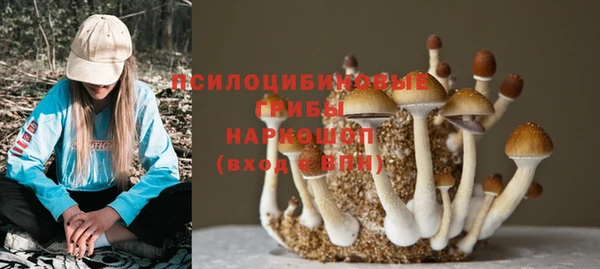 гашик Бородино
