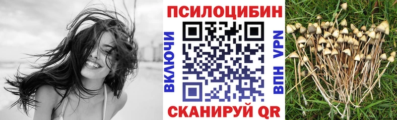 Псилоцибиновые грибы Psilocybine cubensis  наркота  Кириши 